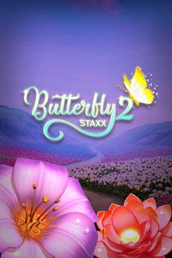 Butterfly Staxx 2